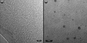 Le particelle appaiono mono-disperse e di dimensione di pochi nanometri