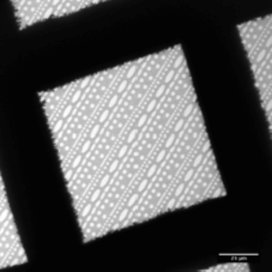 Micro-fotografia TEM il film di carbonio micro-lavorato utilizzato come supporto per la dispersione di nano-particelle